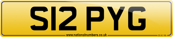 S12 PYG
