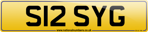 S12 SYG
