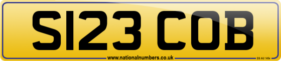 S123 COB