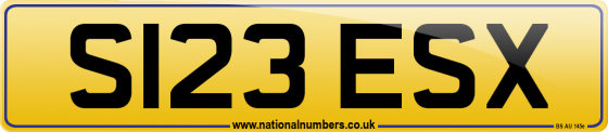 S123 ESX