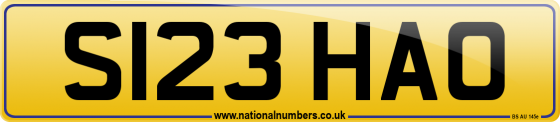 S123 HAO