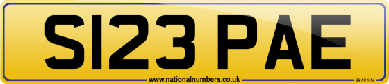 S123 PAE