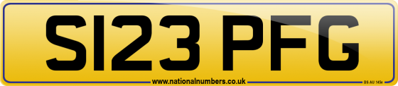 S123 PFG