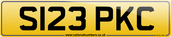 S123 PKC