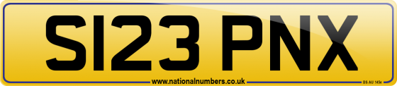 S123 PNX