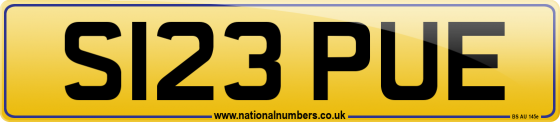 S123 PUE