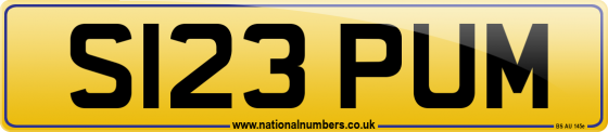 S123 PUM