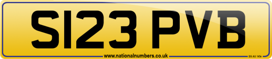 S123 PVB