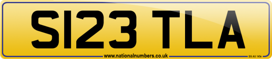 S123 TLA