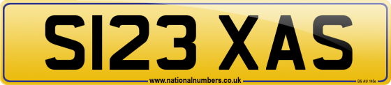 S123 XAS