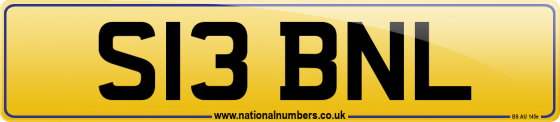 S13 BNL