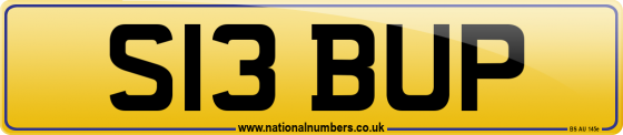 S13 BUP