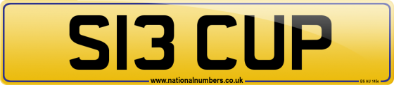 S13 CUP