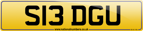 S13 DGU
