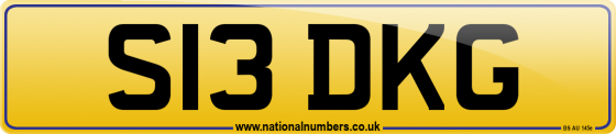 S13 DKG