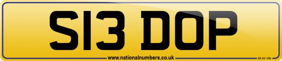 S13 DOP
