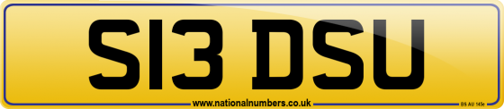 S13 DSU