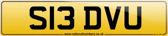 S13 DVU
