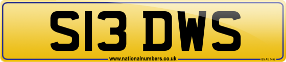 S13 DWS