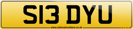 S13 DYU
