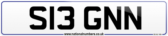 S13 GNN