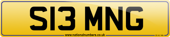 S13 MNG
