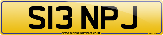 S13 NPJ