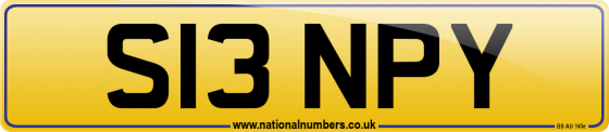 S13 NPY