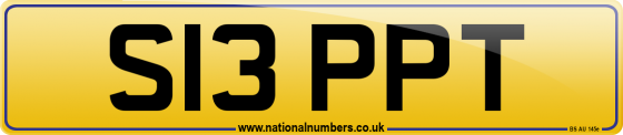S13 PPT