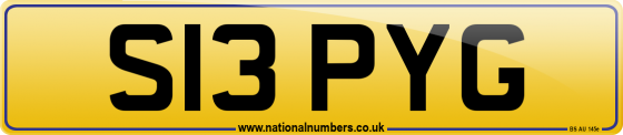 S13 PYG