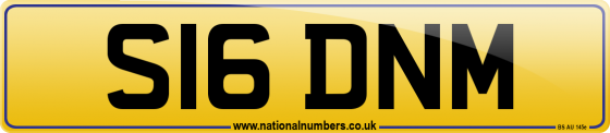 S16 DNM