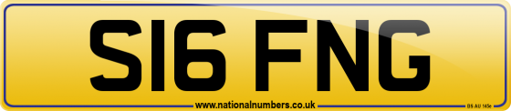 S16 FNG
