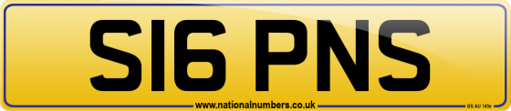 S16 PNS