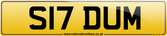 S17 DUM