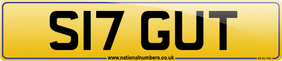 S17 GUT