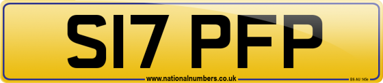 S17 PFP