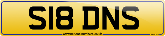 S18 DNS
