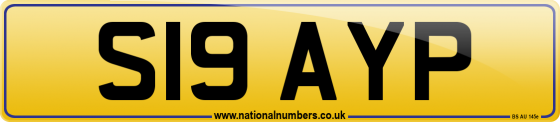 S19 AYP