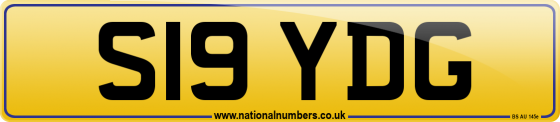 S19 YDG