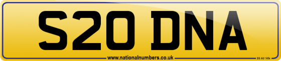 S20 DNA