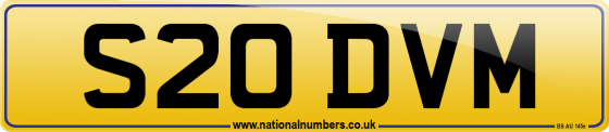 S20 DVM