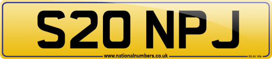 S20 NPJ