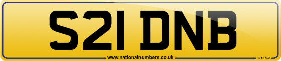 S21 DNB