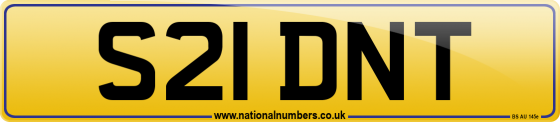 S21 DNT