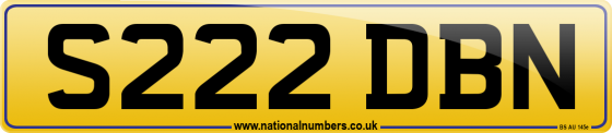 S222 DBN