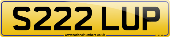 S222 LUP