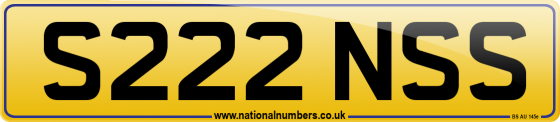 S222 NSS