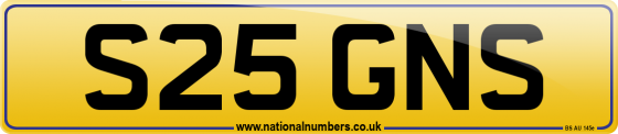 S25 GNS