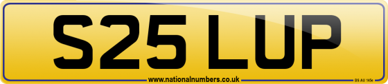 S25 LUP