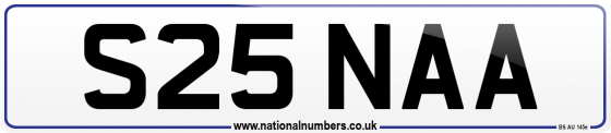S25 NAA
